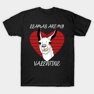 Llamas are my Valentine T-Shirt